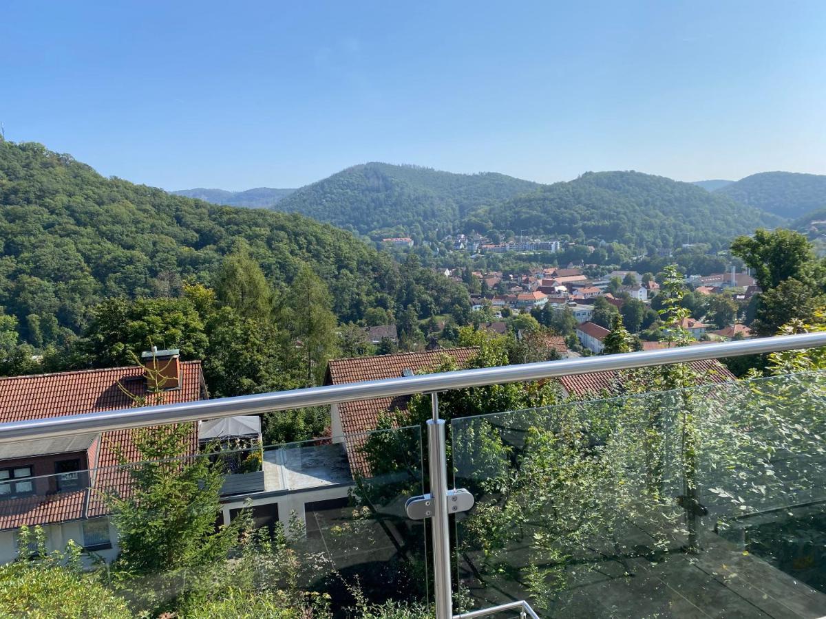 Harz Living - Ferienwohnungen Mit Traumblick Bad Lauterberg Εξωτερικό φωτογραφία